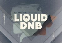 FL166 Liquid DnB Sample Pack WAV