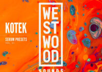 Westwood Sounds Kotek Serum Presets Vol.1