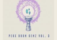 RARE Percussion Perx Drum Gemz Vol.3 WAV