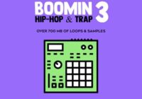 Boomin Hip-Hop & Trap 3 Sample Pack WAV