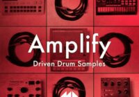 Amplify Driven Drum Samples
