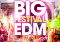 Big Festival EDM