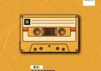 Vandalism Samples MIDI: Cassette