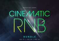Producer Loops Cinematic RnB Vol.1-3 Bundle