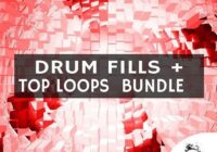 Chop Shop Samples Drum Fills & Top Loops Bundle WAV