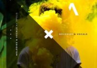 Diginoiz Melodies & Vocals by Apolo WAV