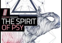 The Spirit Of Psy Sample Pack WAV
