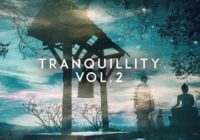 FL174 Tranquillity Vol.2 Sample Pack WAV