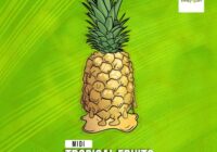 Vandalism Samples MIDI: Tropical Fruits