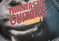 New Beard Media Twantastic Guitar Vol.1 WAV