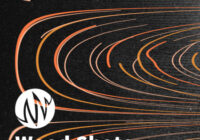 PSE: The Producer's Library Wood Shots WAV