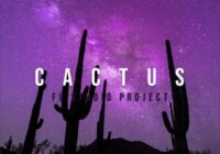 Prototype Samples Cactus - FL Studio Project