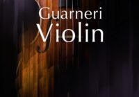 NI Guarneri Violin v1.0.0 Kontakt Library