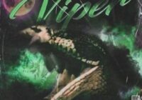 Nashi Viper Drum Kit WAV MIDI FST