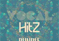 Roundel Sounds Vocal Hits Bundle