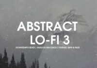 Bingoshakerz Abstract Lo-Fi 3 WAV MIDI