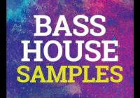 Bass House Samples [WAV MIDI FXP]