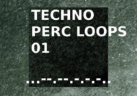 Techno Perc Loops 01