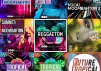 AUDENTITY - Tropical Reggaeton & Moombahton Bundle