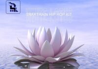 Traktrain White Lotus Hip Hop Kit WAV