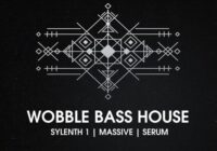 Bingoshakerz Wobble Bass House MULTIFORMAT