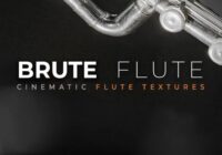 Sonixinema Brute Flute KONTAKT