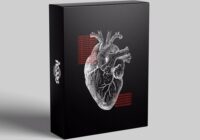 Seezy Coldhearted DrumKit WAV