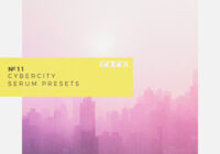 GOGOi Cybercity Vol.1 (Serum Presets)