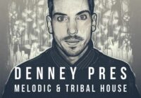 Denney Melodic & Tribal House MULTIFORMAT