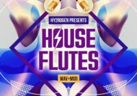 Hy2rogen House Flutes MULTIFORMAT