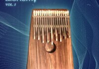 RARE Percussion Kalimba Alchemy vol.1 WAV