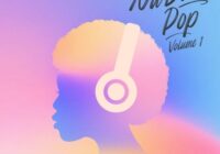 Producer Loops Nu Disco Pop Vol.1 WAV MIDI