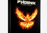 Surge Sounds Phoenix