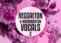 Equinox Sounds Reggaeton and Moombahton Vocals Vol.2 WAV MIDI