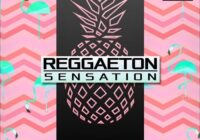 Kryptic Reggaeton Sensation Vol.2 WAV MIDI