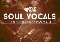 SRR Soul Vocal’s for House Vol.2 WAV