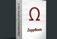 ZappBeats Drumkit Vol.4 WAV FLP FST