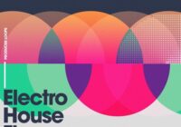 Electro House Flavours Volume 1