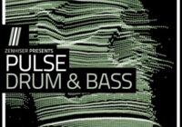 Pulse - Drum & Bass Sample Pack (WAV MIDI)