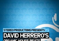 SMP07 Stereo Productions David Herrero Organic House Beats WAV