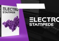 Electro Stampede // STMPD Style EDM Drums, Melodies & Kits