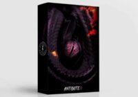 Fxrbes Beats Antidote 2.0 WAV MIDI