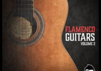 Vanilla Groove Studios – Flamenco Guitars Vol.2 WAV