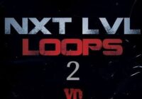 YC Audio Nxt Lvl Loops 2 WAV