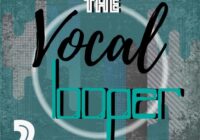 Roundel Sounds The Vocal Looper Vol.2 WAV