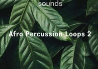 Riemann Kollektion ASHRAM Afro Percussion Loops 2 WAV