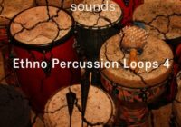 Riemann Kollektion ASHRAM Ethno Percussion Loops 4 WAV