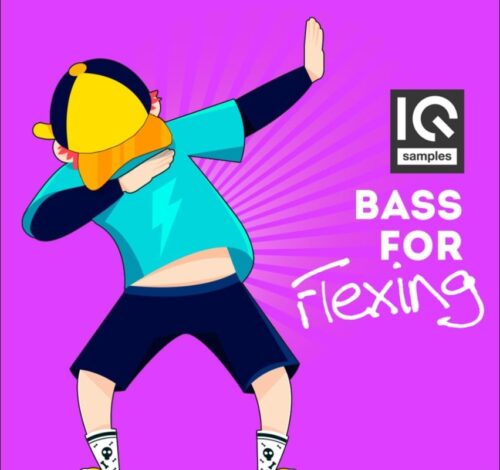 IQ Samples Bass For Flexing WAV