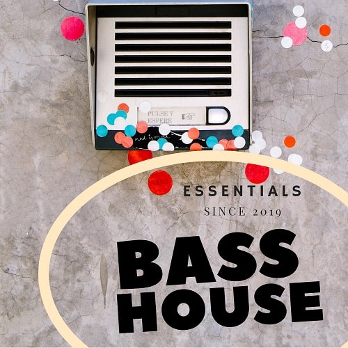 Bass House Essentials Samplepack WAV MIDI FXP