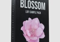 Cymatics Blossom: Lofi Sample Pack WAV